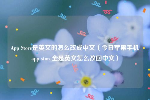 App Store是英文的怎么改成中文（今日苹果手机app store全是英文怎么改回中文）