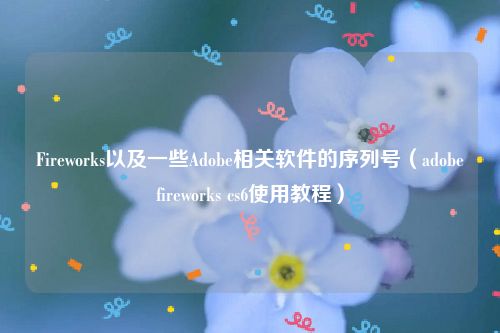 Fireworks以及一些Adobe相关软件的序列号(adobefireworks cs6使用教程)