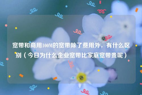 宽带和商用100M的宽带除了费用外，有什么区别（今日为什么企业宽带比家庭宽带贵呢）