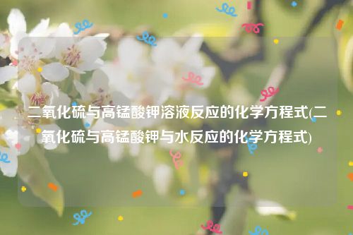 二氧化硫与高锰酸钾溶液反应的化学方程式(二氧化硫与高锰酸钾与水反应的化学方程式)