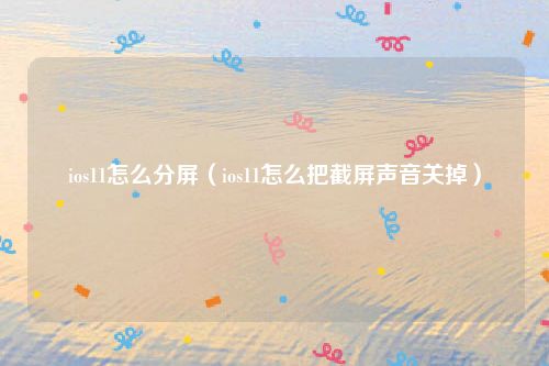 ios11怎么分屏（ios11怎么把截屏声音关掉）