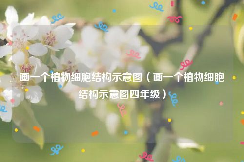 画一个植物细胞结构示意图（画一个植物细胞结构示意图四年级）