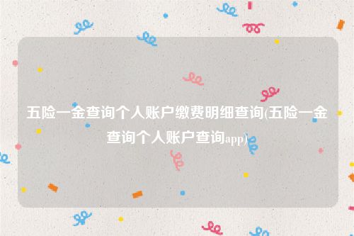 五险一金查询个人账户缴费明细查询(五险一金查询个人账户查询app)