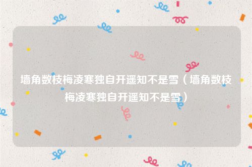 墙角数枝梅凌寒独自开遥知不是雪（墙角数枝梅凌寒独自开遥知不是雪）