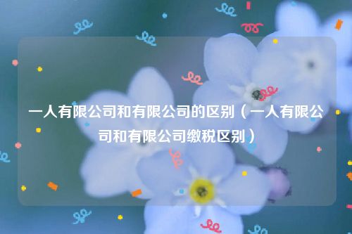一人有限公司和有限公司的区别（一人有限公司和有限公司缴税区别）