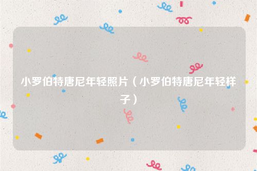 小罗伯特唐尼年轻照片（小罗伯特唐尼年轻样子）