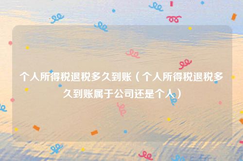 个人所得税退税多久到账（个人所得税退税多久到账属于公司还是个人）