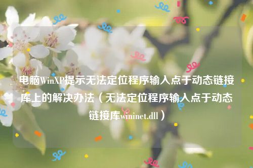 电脑WinXP提示无法定位程序输入点于动态链接库上的解决办法(无法定位程序输入点于动态链接库wininet.dll)