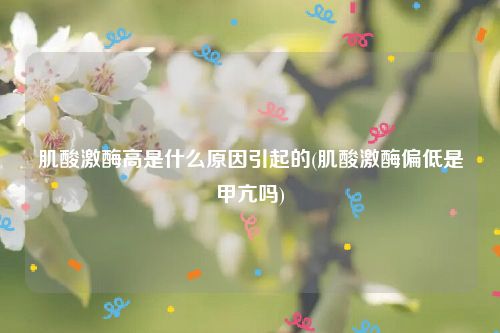 肌酸激酶高是什么原因引起的(肌酸激酶偏低是甲亢吗)