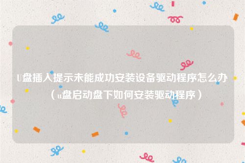 U盘插入提示未能成功安装设备驱动程序怎么办(u盘启动盘下如何安装驱动程序)