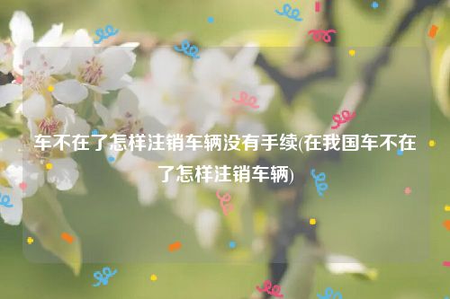 车不在了怎样注销车辆没有手续(在我国车不在了怎样注销车辆)