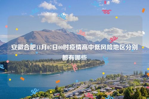 安徽合肥11月07日00时疫情高中低风险地区分别都有哪些