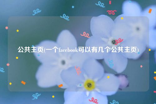 公共主页(一个facebook可以有几个公共主页)
