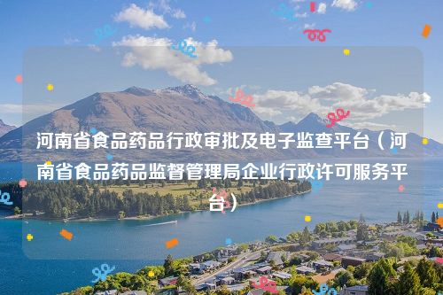 河南省食品药品行政审批及电子监查平台(河南省食品药品监督管理局企业行政许可服务平台)