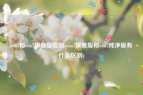 win7和win7旗舰版区别(win7旗舰版和win7纯净版有什么区别)
