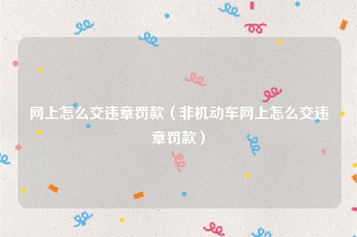 网上怎么交违章罚款(非机动车网上怎么交违章罚款)