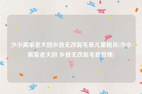 少小离家老大回乡音无改鬓毛衰儿童相见(少小离家老大回 乡音无改鬓毛衰哲理)