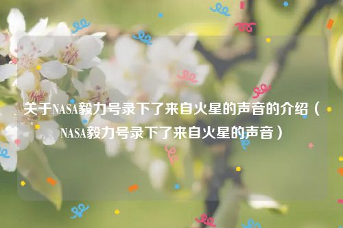 关于NASA毅力号录下了来自火星的声音的介绍(NASA毅力号录下了来自火星的声音)