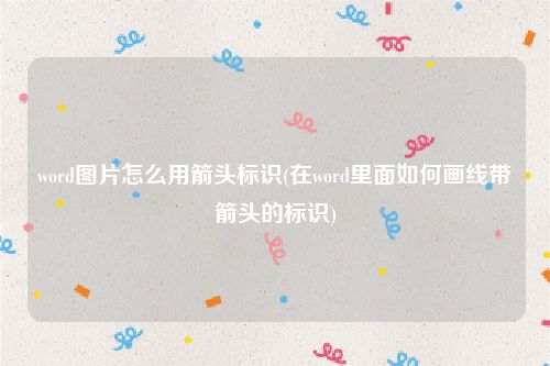 word图片怎么用箭头标识(在word里面如何画线带箭头的标识)