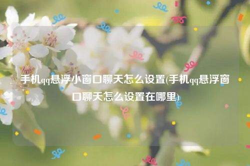 手机qq悬浮小窗口聊天怎么设置(手机qq悬浮窗口聊天怎么设置在哪里)