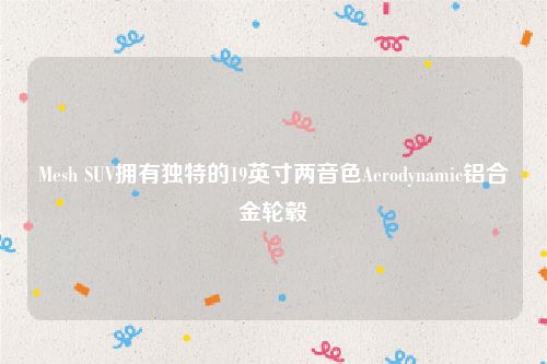 Mesh SUV拥有独特的19英寸两音色Aerodynamic铝合金轮毂