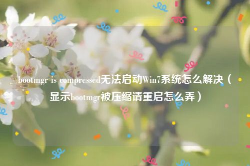 bootmgr is compressed无法启动Win7系统怎么解决（显示bootmgr被压缩请重启怎么弄）