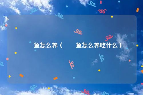 鳑鲏鱼怎么养（鳑鲏鱼怎么养吃什么）