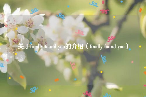 关于finally found you的介绍(finally found you)